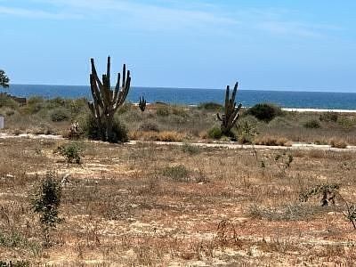 Lot in El Pescadero, La Paz, photo 17 of 30