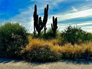 Lot in El Pescadero, La Paz, photo 18 of 30