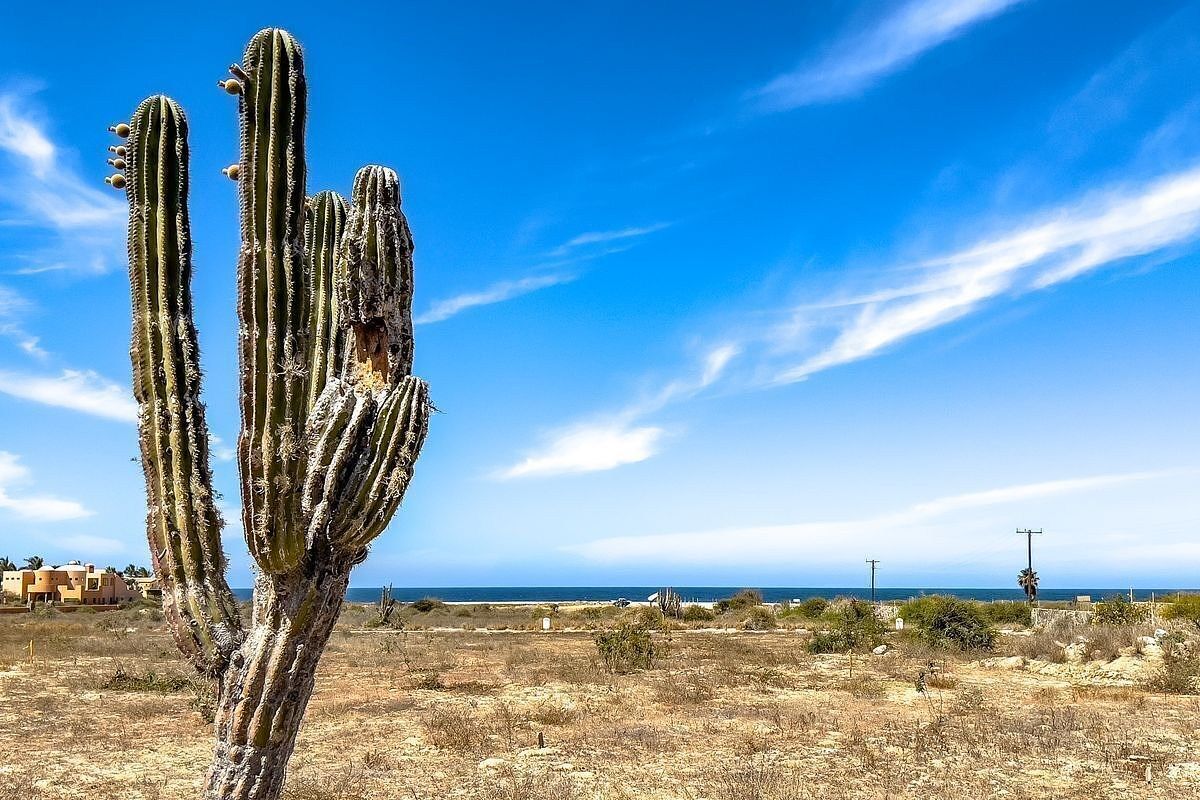 Lot in El Pescadero, La Paz, photo 27 of 30