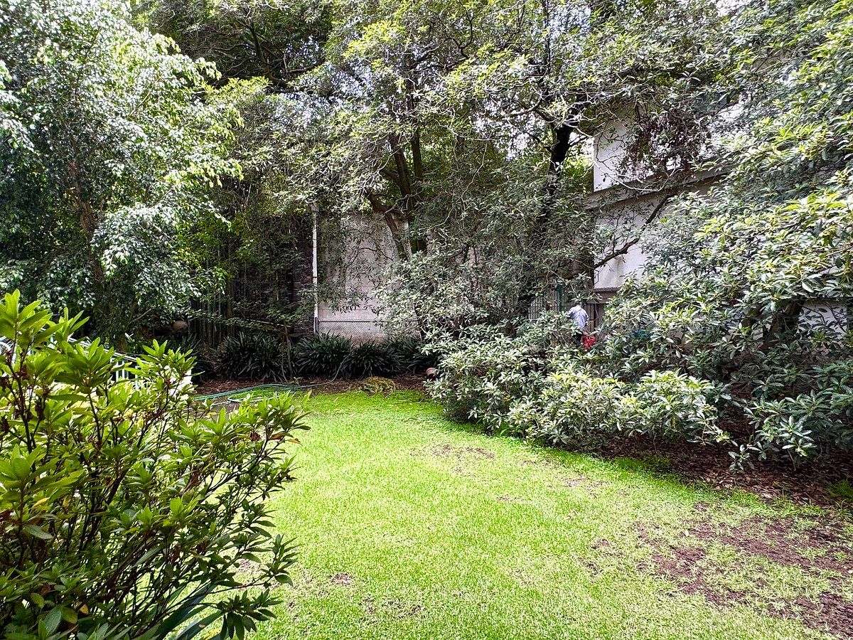 House in Jardines del Pedregal, Álvaro Obregón, photo 24 of 29