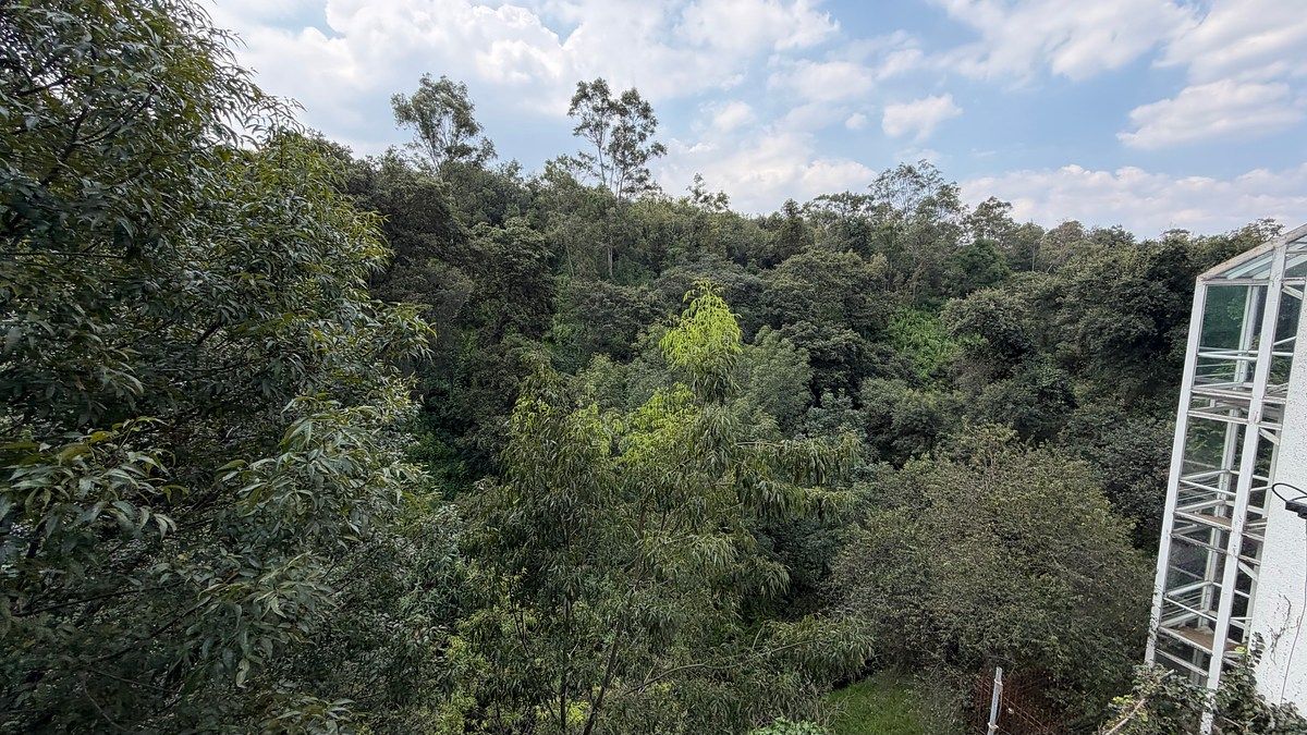 Departamento en Lomas de las Águilas, Álvaro Obregón, foto 22 de 23
