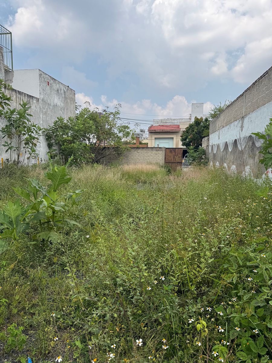 Lote em Camino Real, Zapopan, foto 6 de 6
