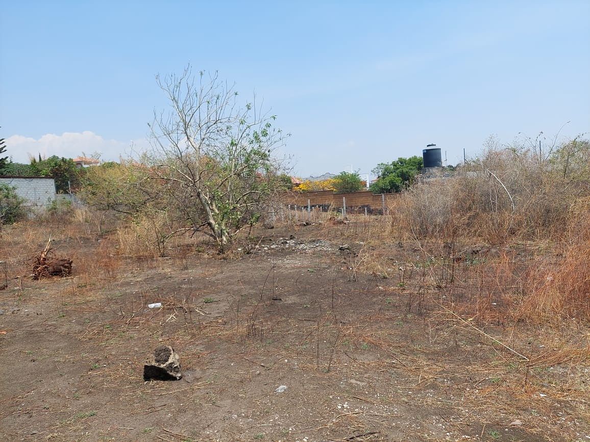 Lote em Corral Grande, Yautepec, foto 4 de 4