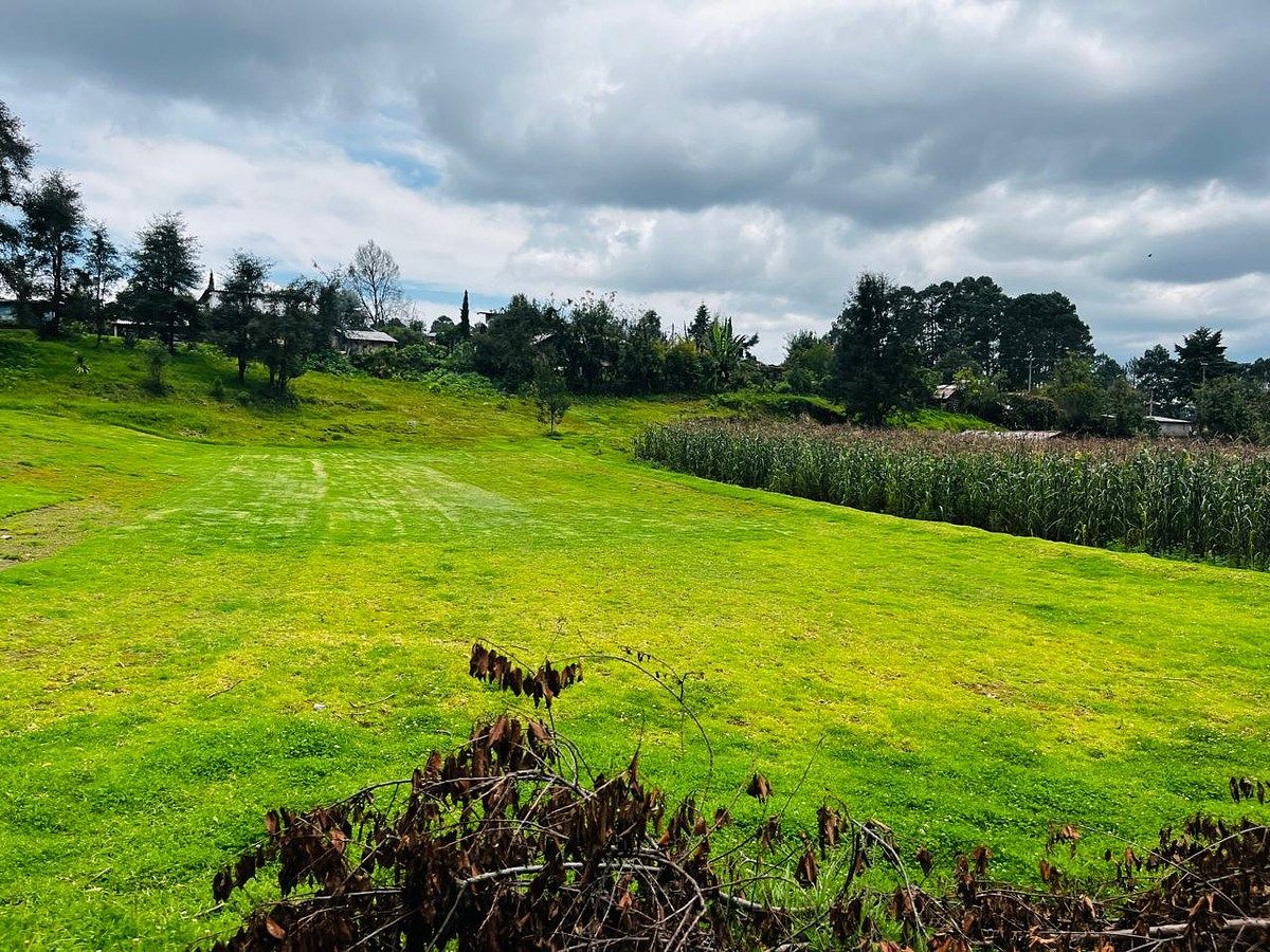Land for sale in Los Saucos, photo 1 of 8