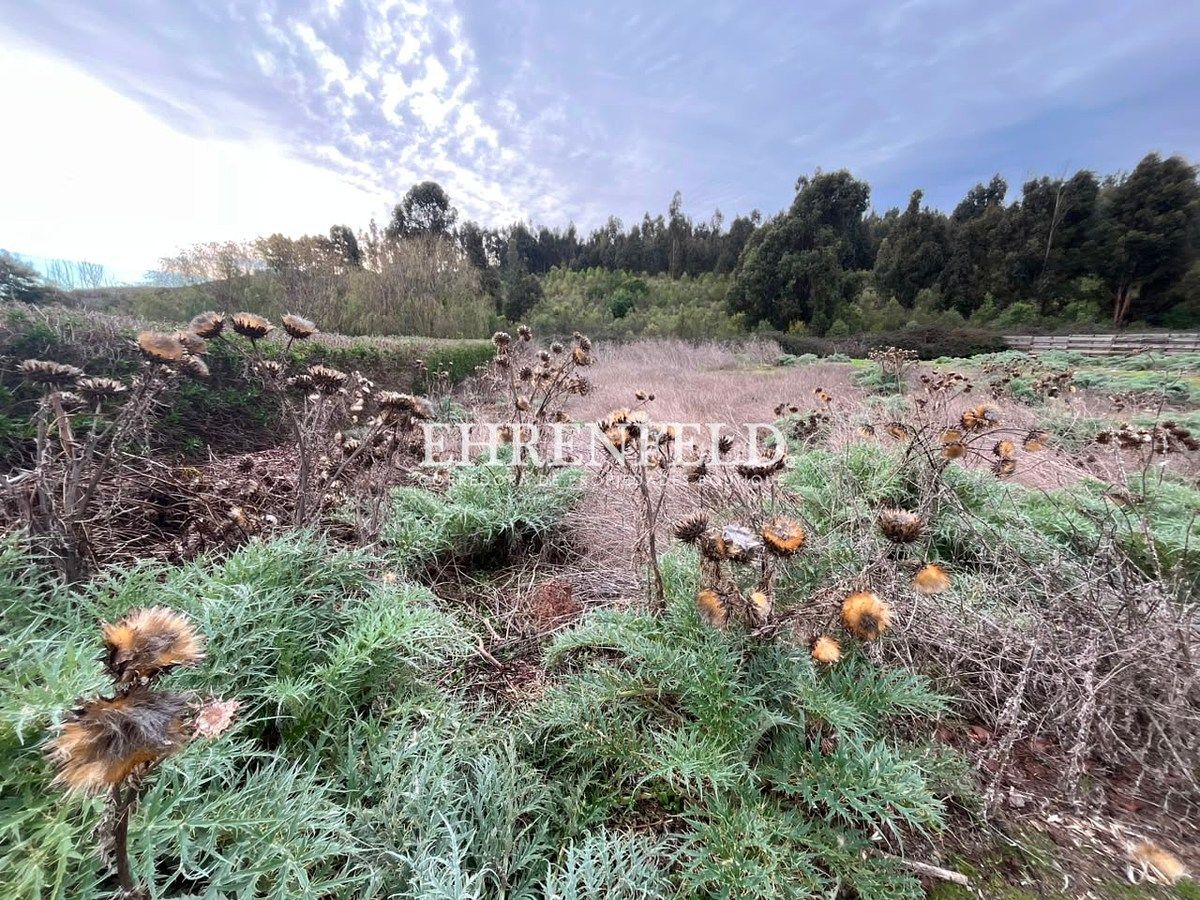 Terreno en Quintero, foto 20 de 21