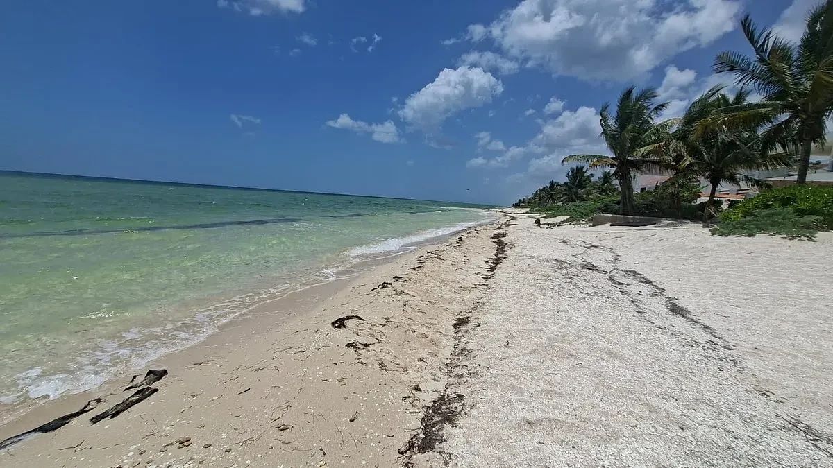 Apartamento em Chicxulub Puerto, Progreso, foto 6 de 20