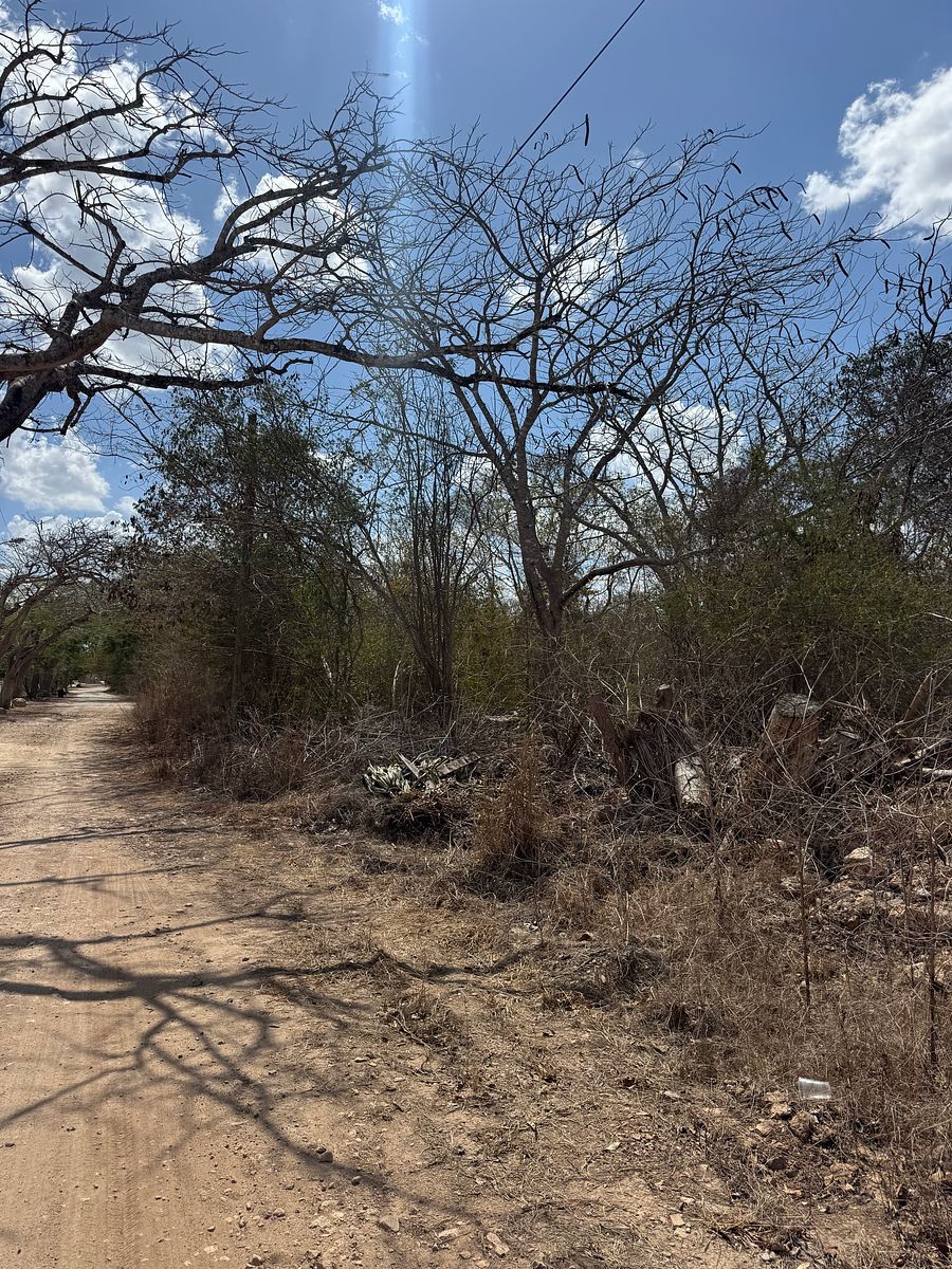 Lot in Cholul, Mérida, photo 9 of 10