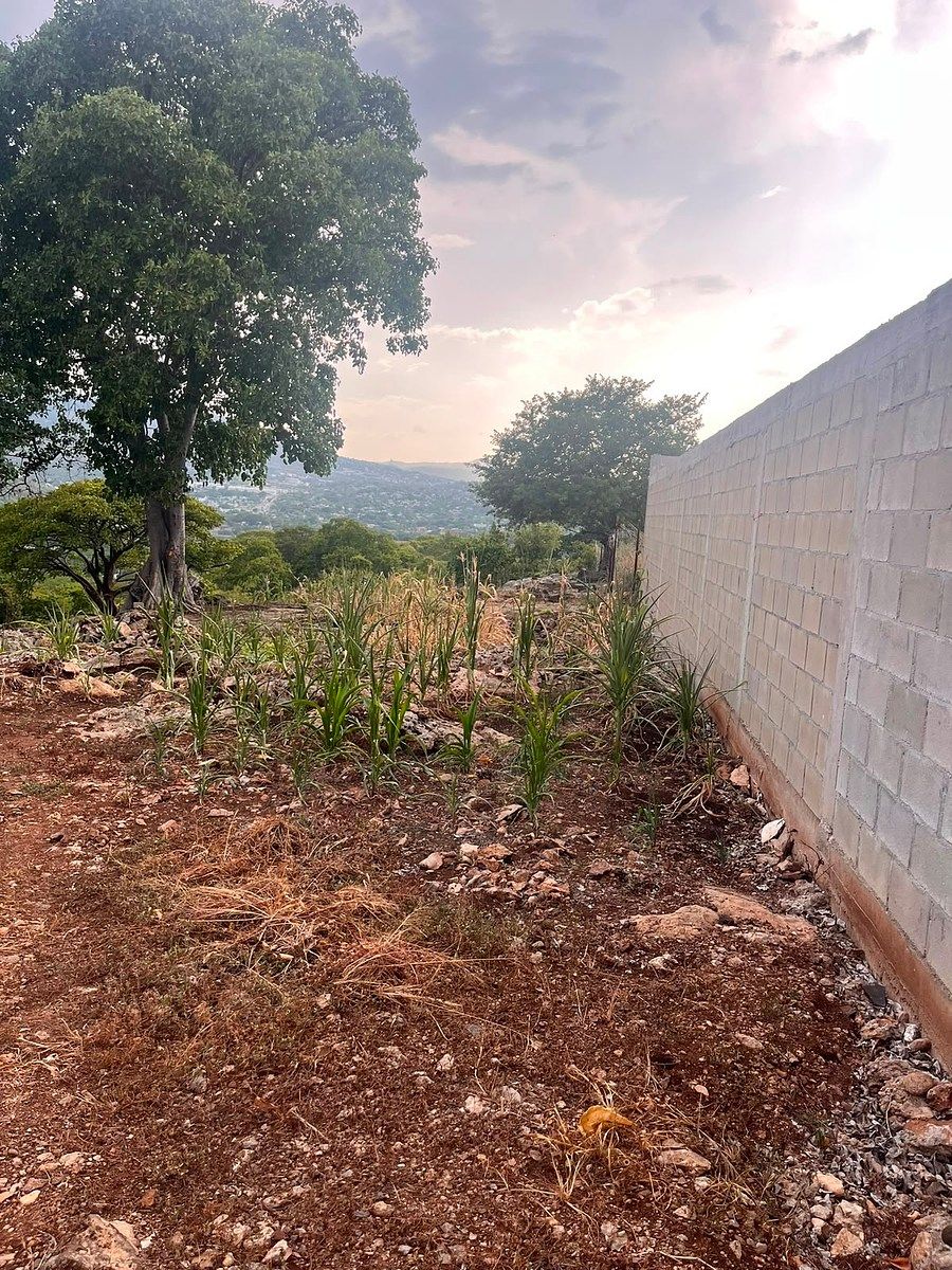 Terreno en Adriana Gabriela de Ruiz Ferro, Chiapa de Corzo, foto 3 de 13