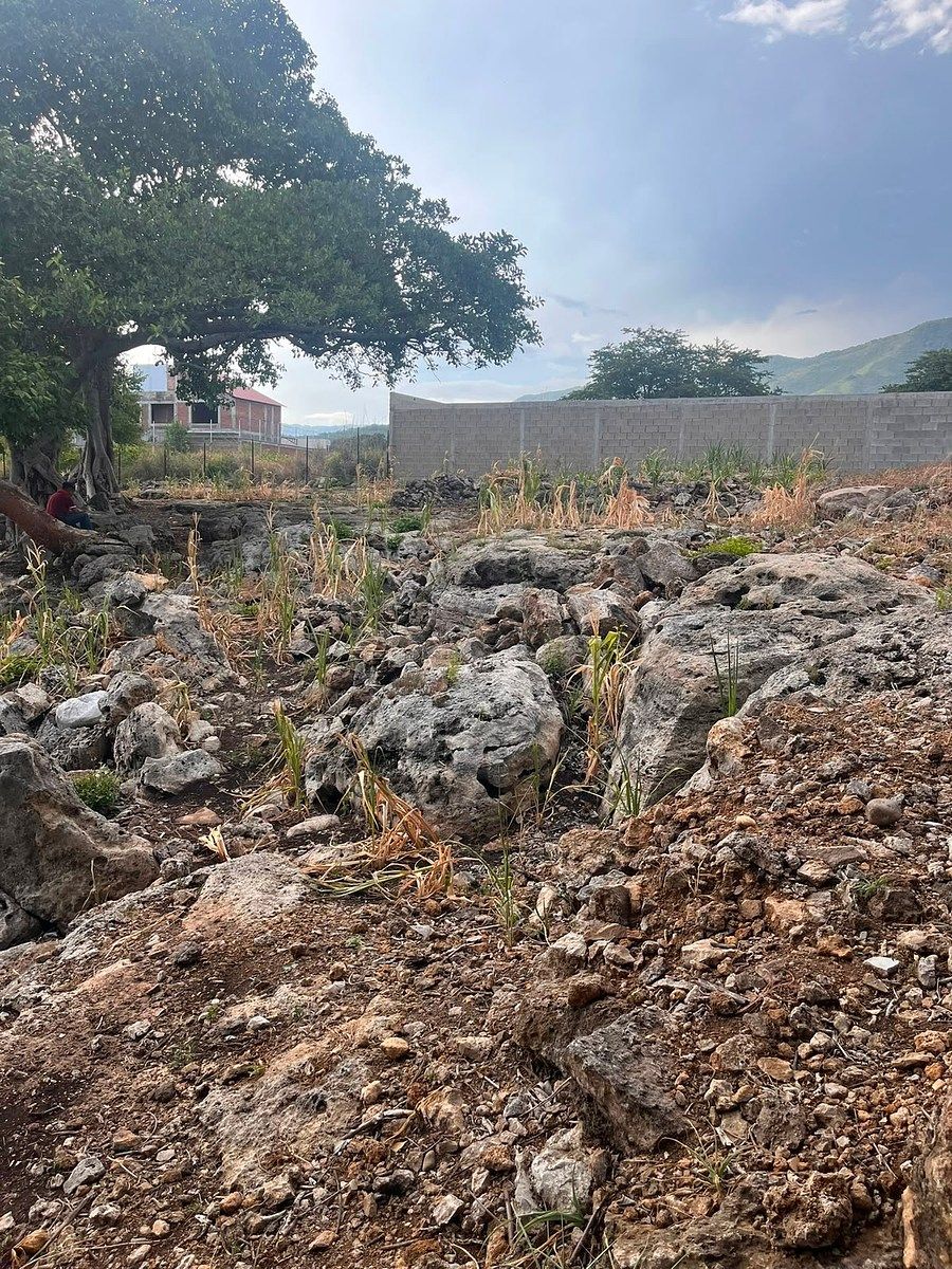 Terreno en Adriana Gabriela de Ruiz Ferro, Chiapa de Corzo, foto 7 de 13