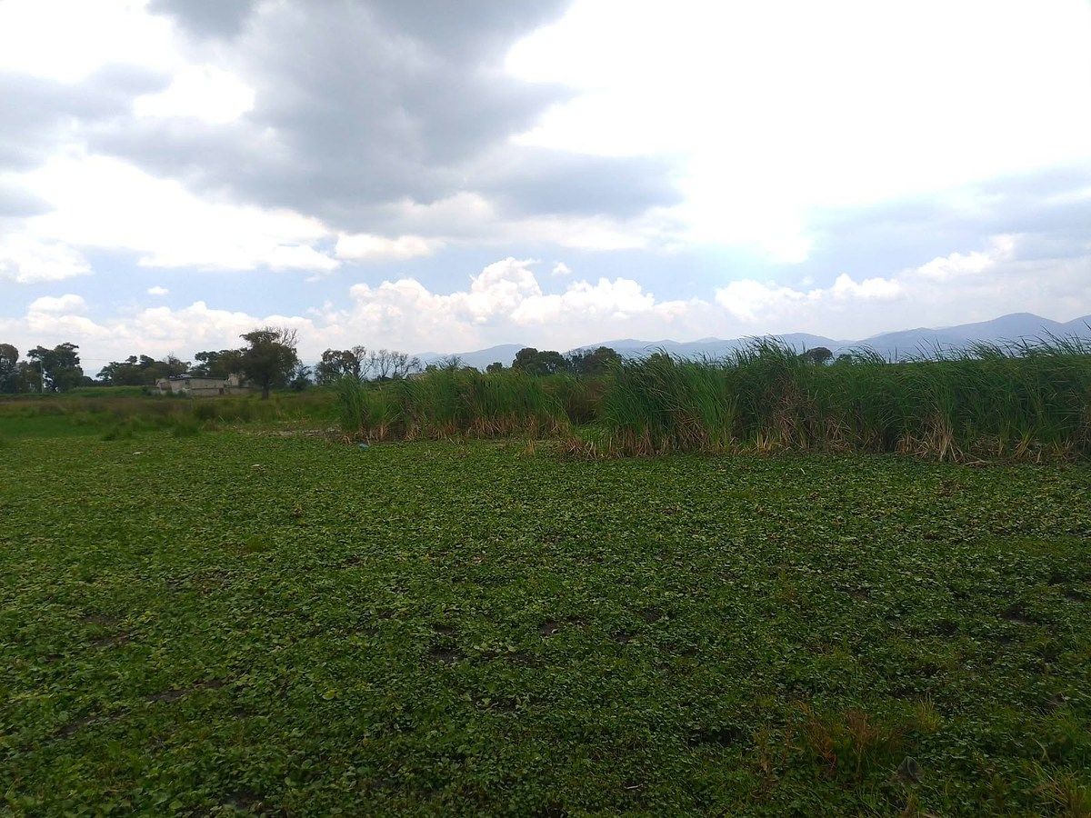 Terreno en Venta en San Mateo Otzacatipan, México., foto 1 de 4