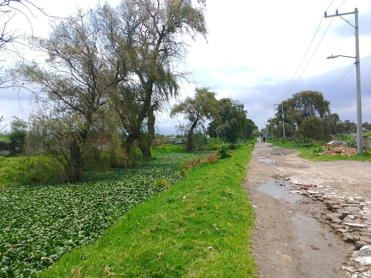 Terreno en San Mateo Otzacatipan, Toluca, foto 3 de 4