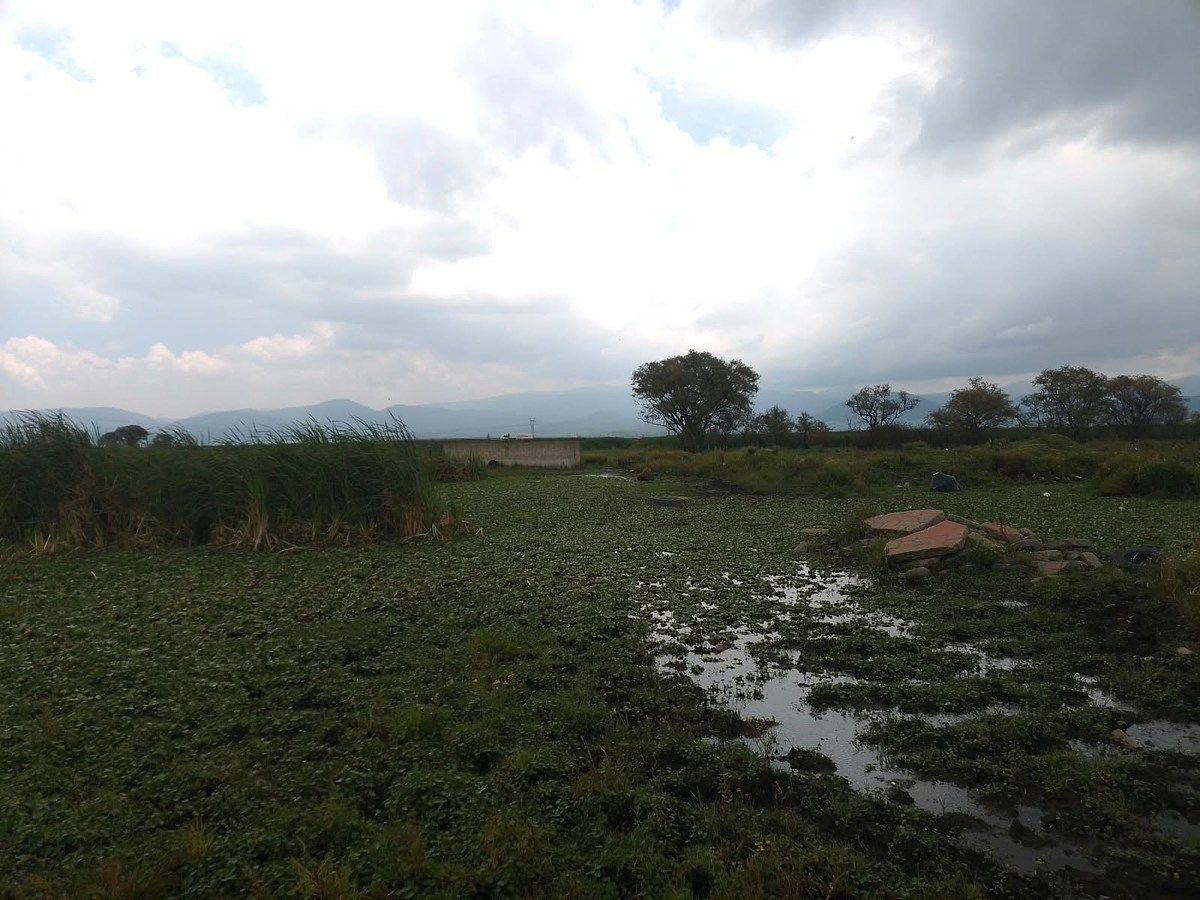 Terreno en San Mateo Otzacatipan, Toluca, foto 4 de 4
