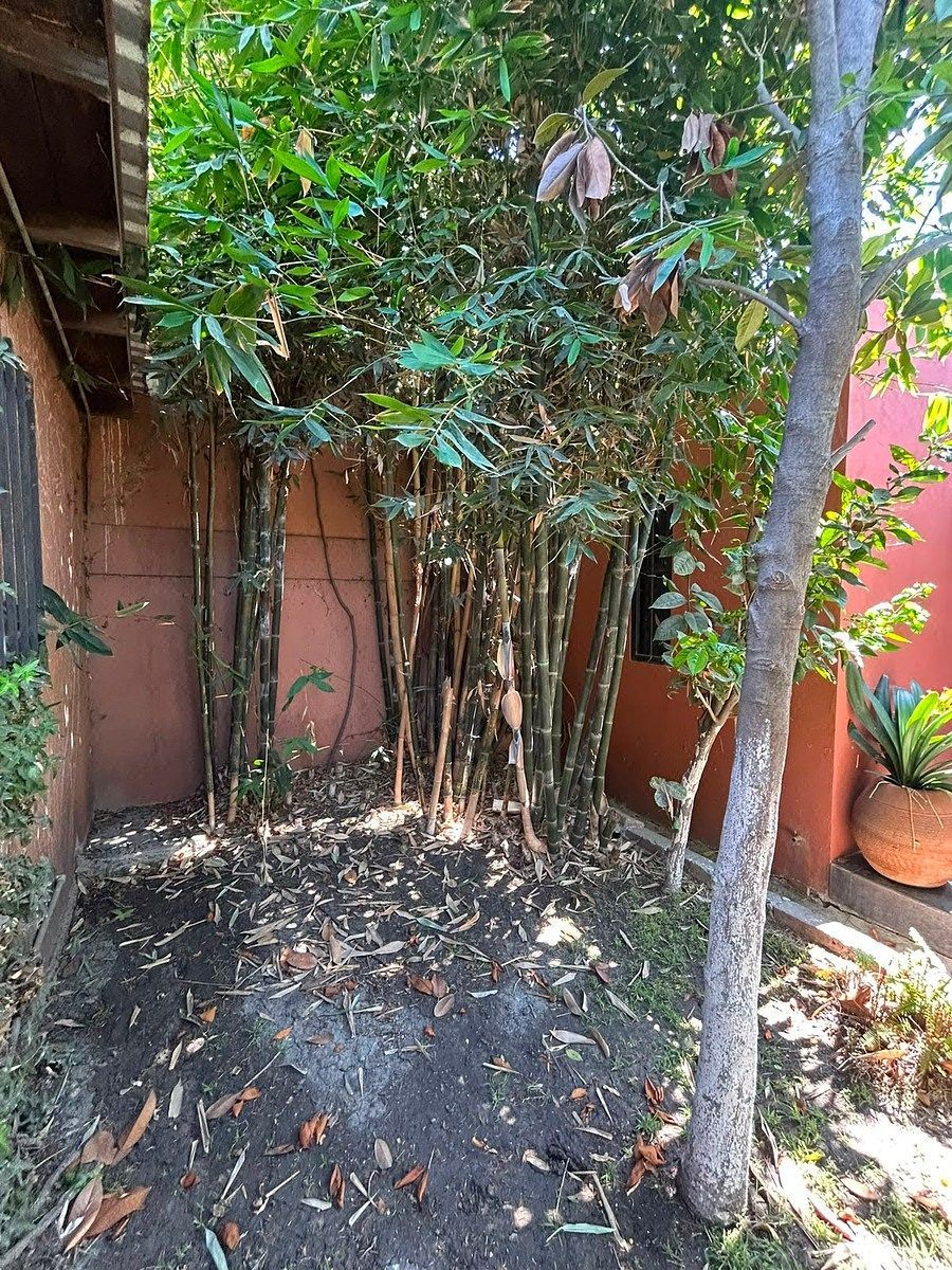 Casa en La Gloria, Tijuana, foto 8 de 33