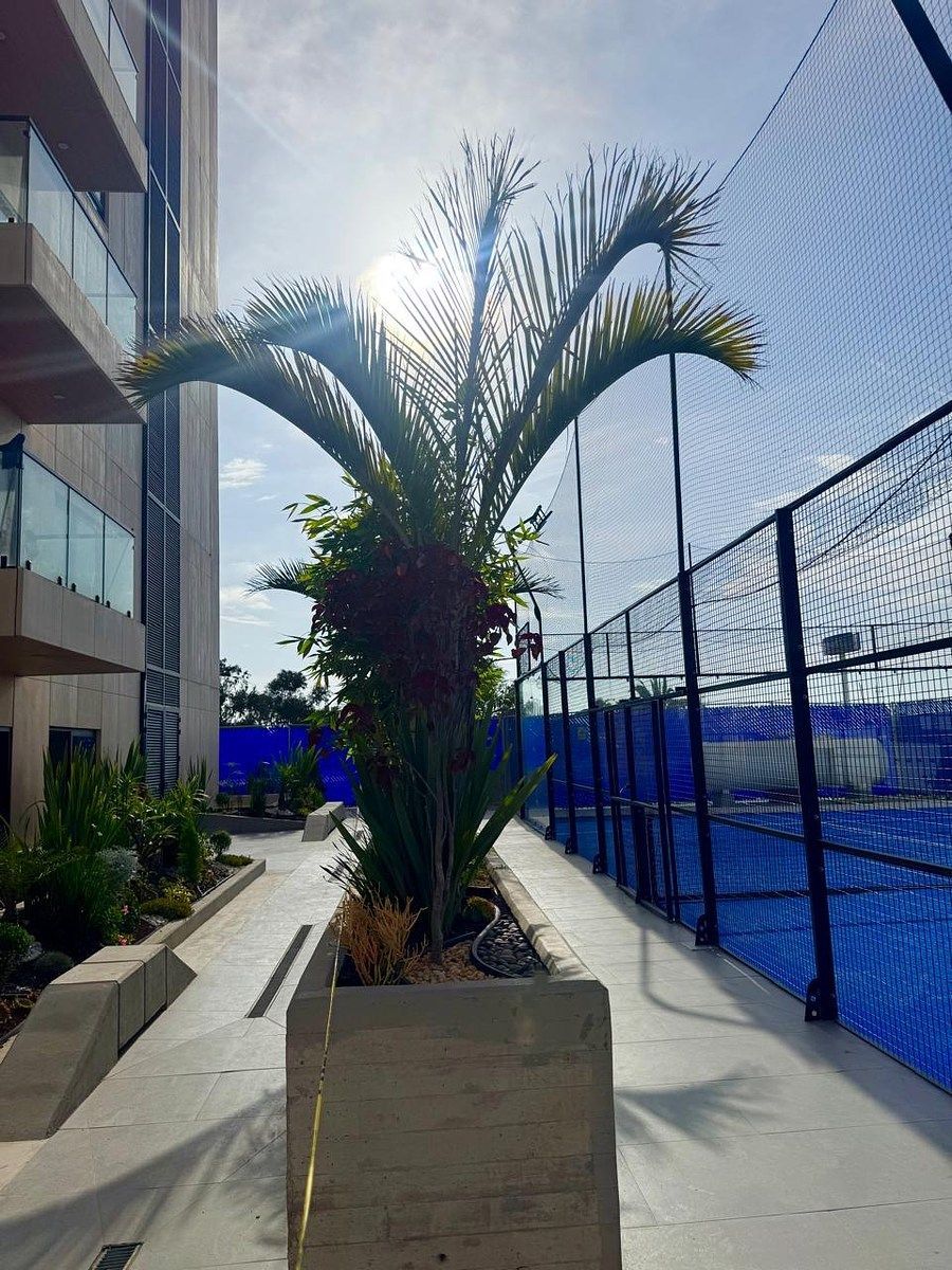 Departamento en Playas de Tijuana, Tijuana, foto 25 de 26