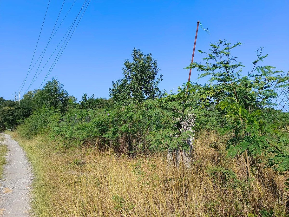 Lote em Canoas, Montemorelos, foto 4 de 9