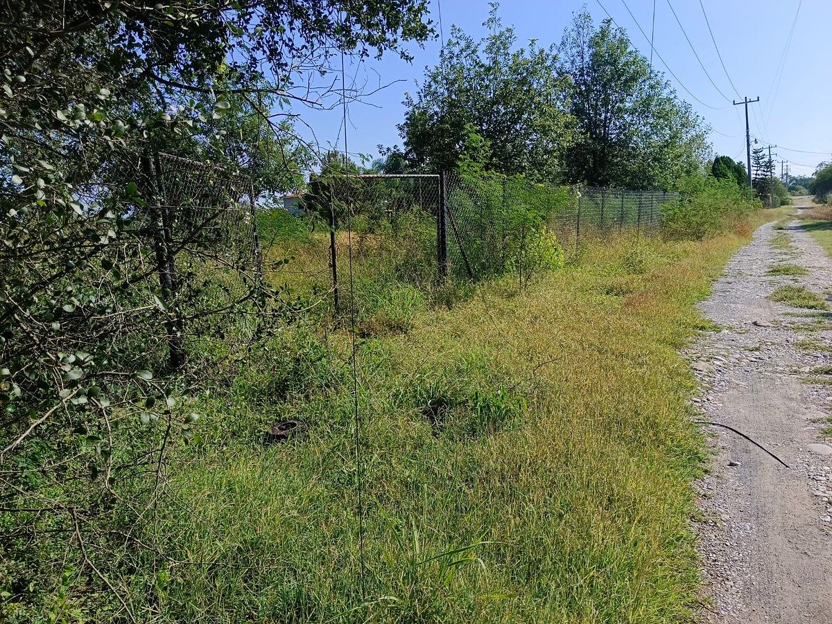 Lote em Canoas, Montemorelos, foto 5 de 9