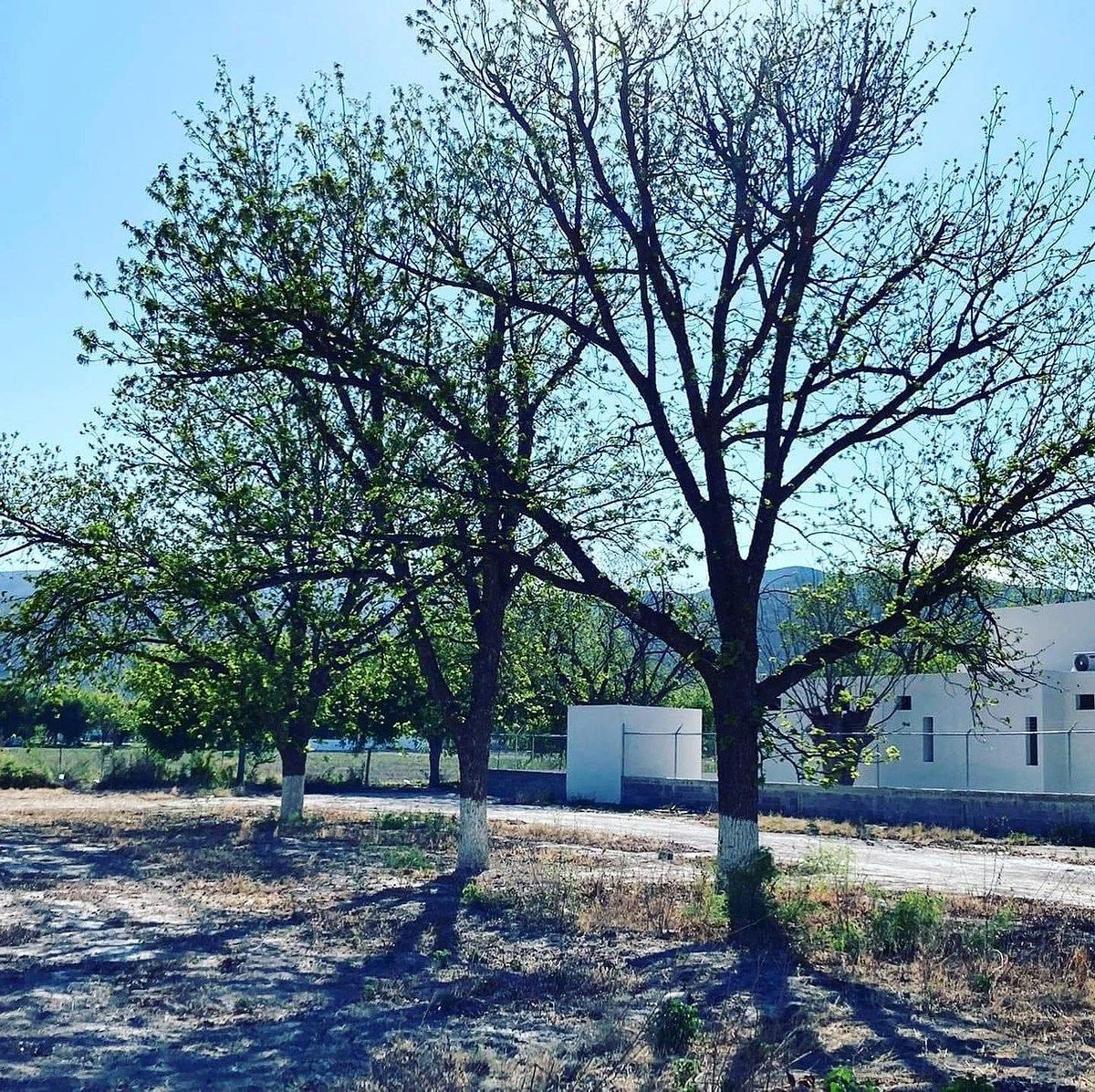 Lote em Lic. Benito Juárez, Nadadores, foto 3 de 12