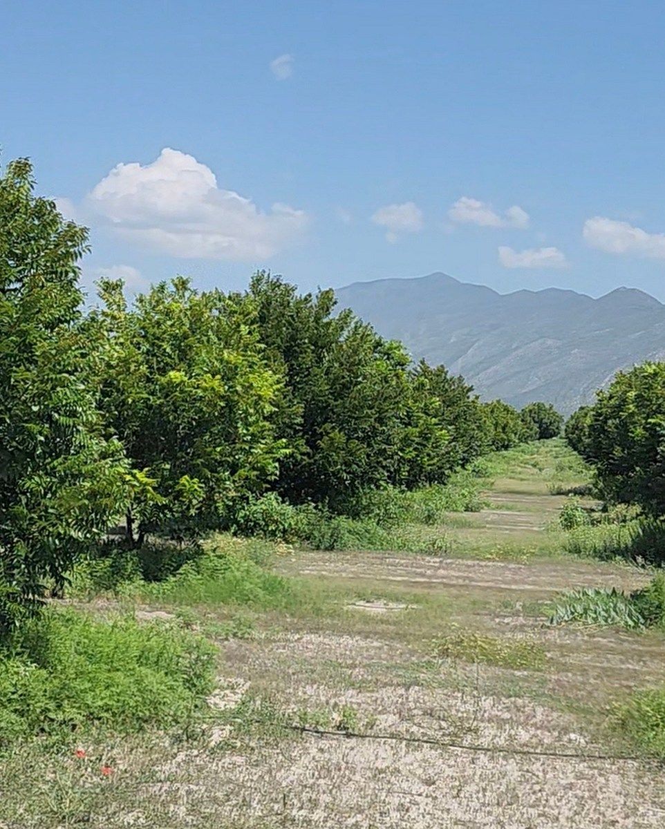 Terreno Rural à Venda SACRAMENTO, Coah., foto 1 de 12