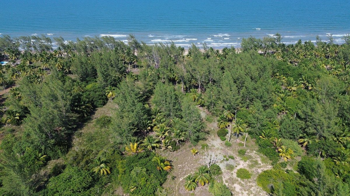 Lote em Playa Norte, Tuxpan, foto 13 de 13