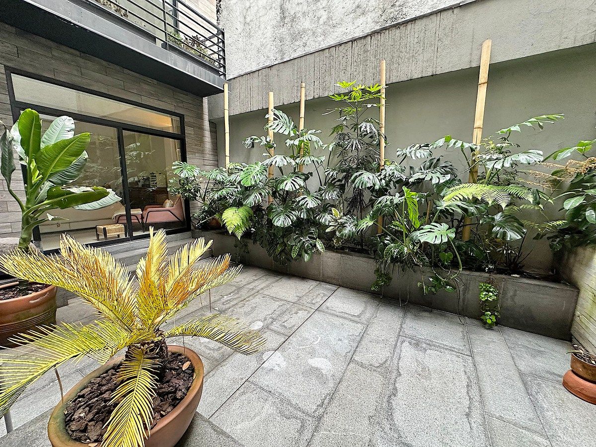 Departamento en Roma Norte, Cuauhtémoc, foto 3 de 19