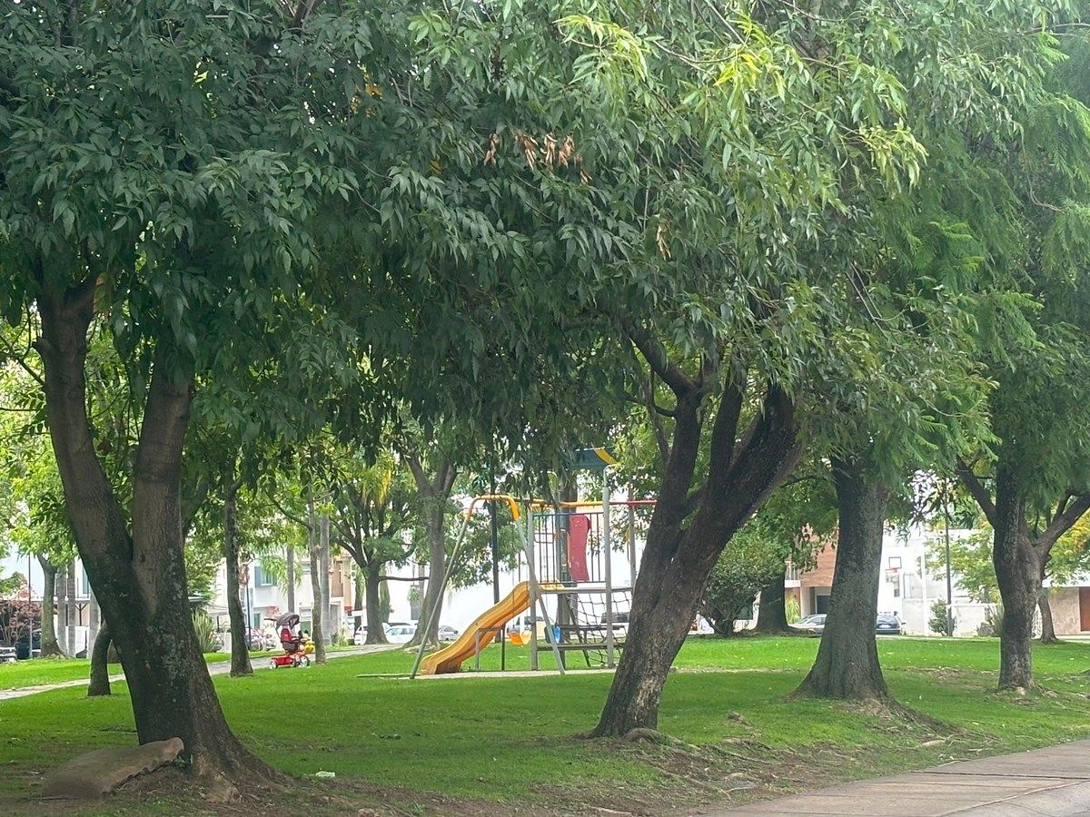 Casa em Del Pilar Residencial, Tlajomulco de Zúñiga, foto 41 de 42