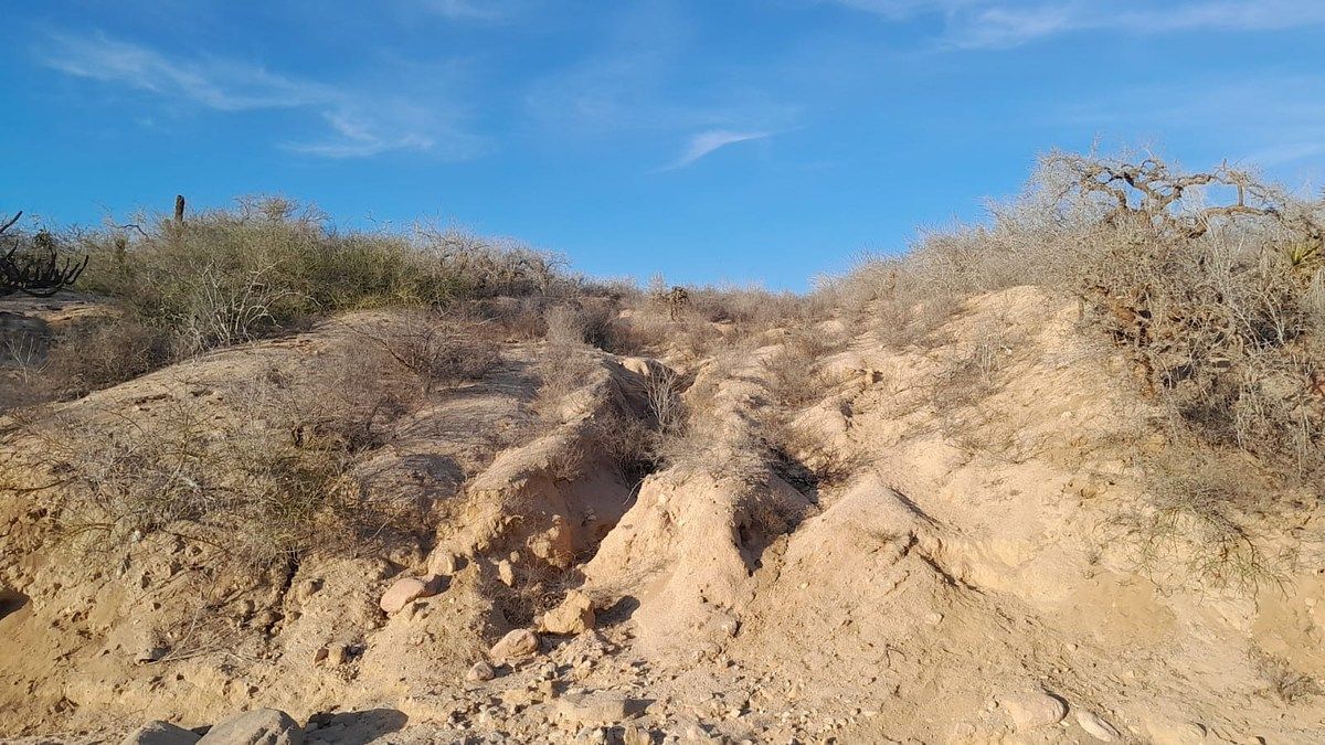 White Water Land, photo 1 of 22