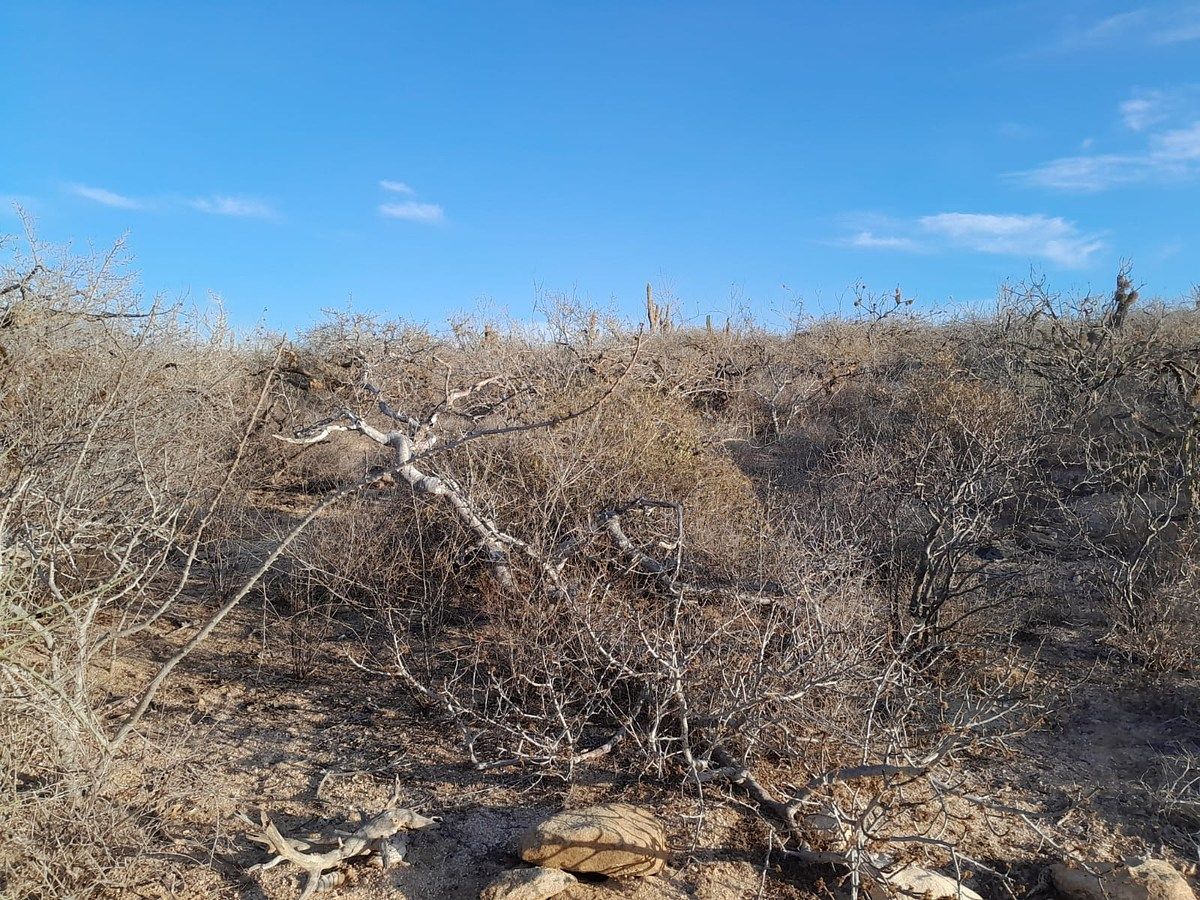 Lot in Agua Blanca, La Paz, photo 4 of 22