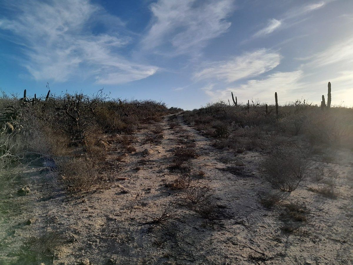 Lot in Agua Blanca, La Paz, photo 6 of 22