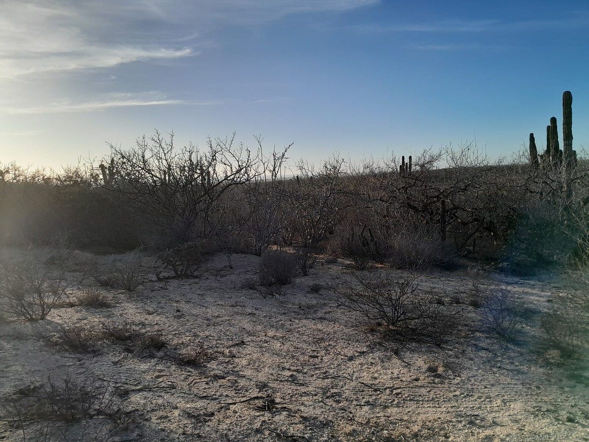 Lot in Agua Blanca, La Paz, photo 7 of 22