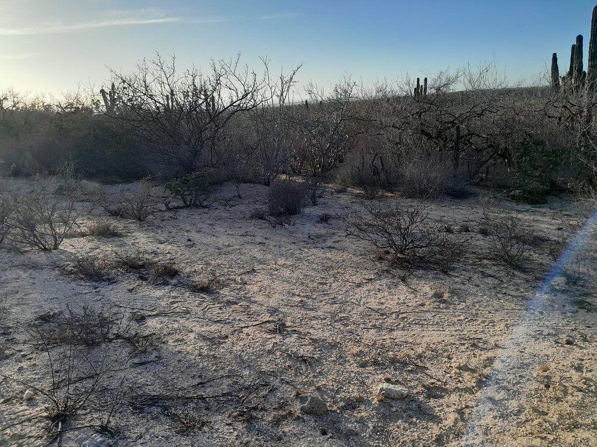 Lot in Agua Blanca, La Paz, photo 8 of 22