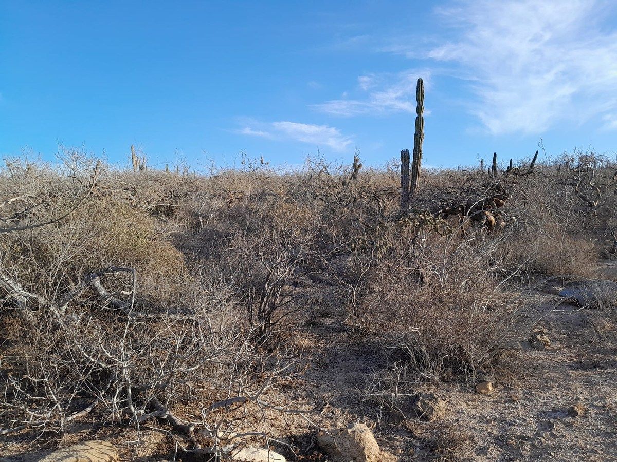 Lot in Agua Blanca, La Paz, photo 9 of 22