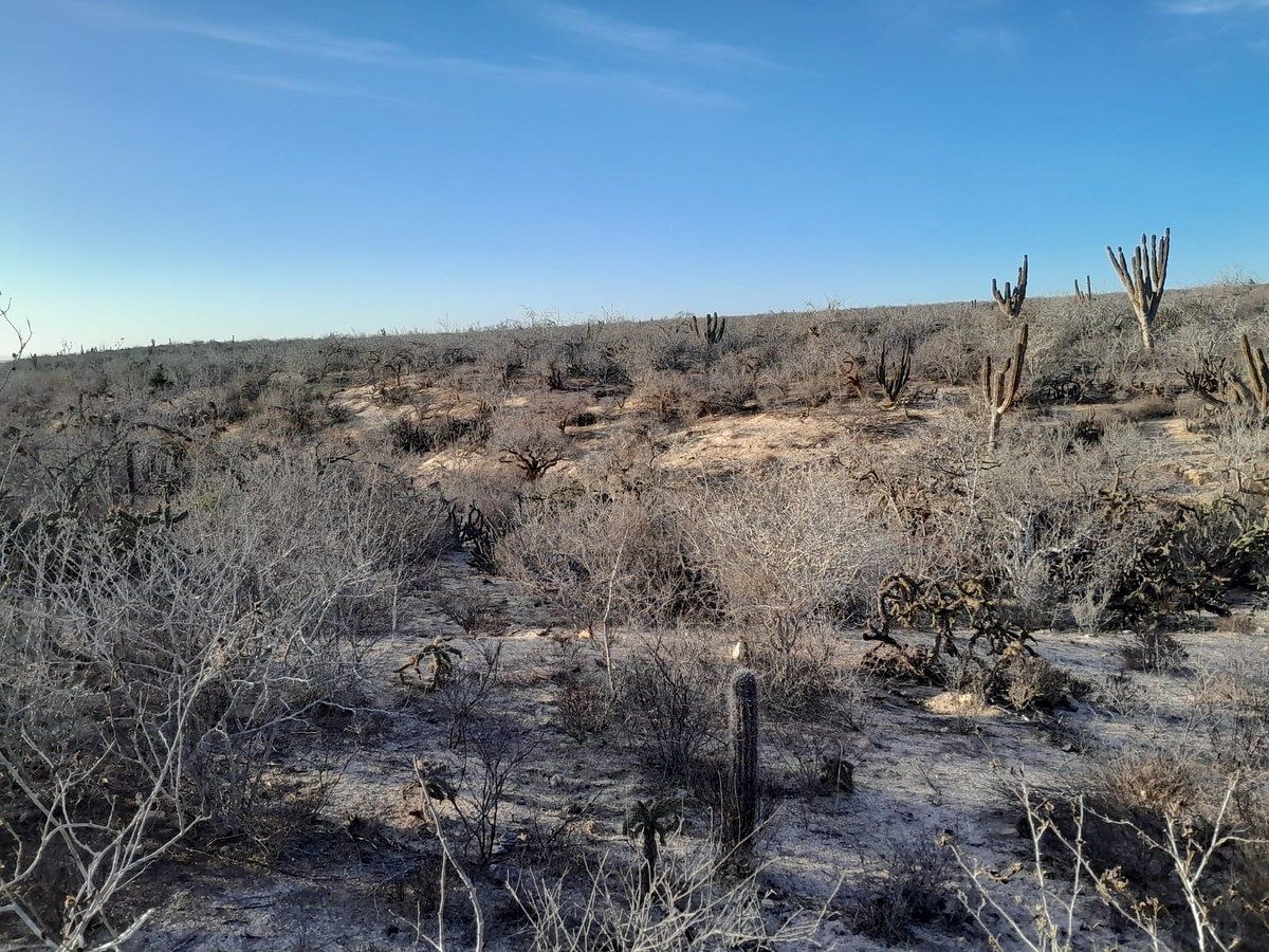 Lot in Agua Blanca, La Paz, photo 10 of 22