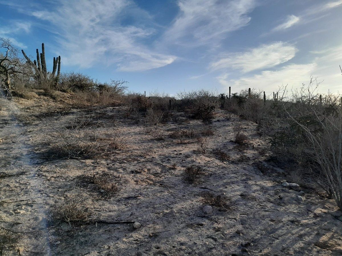 Lot in Agua Blanca, La Paz, photo 11 of 22