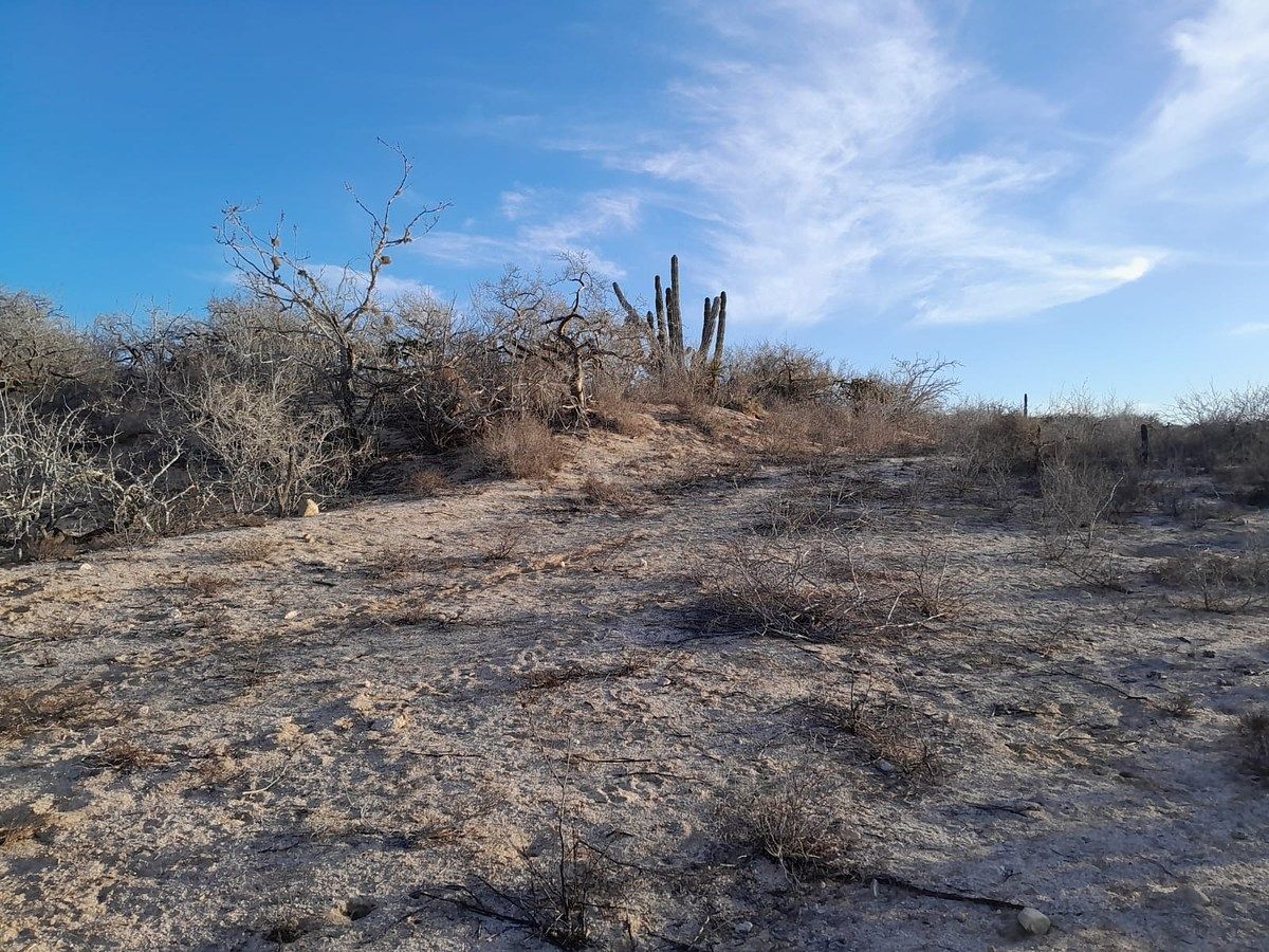 Lot in Agua Blanca, La Paz, photo 12 of 22