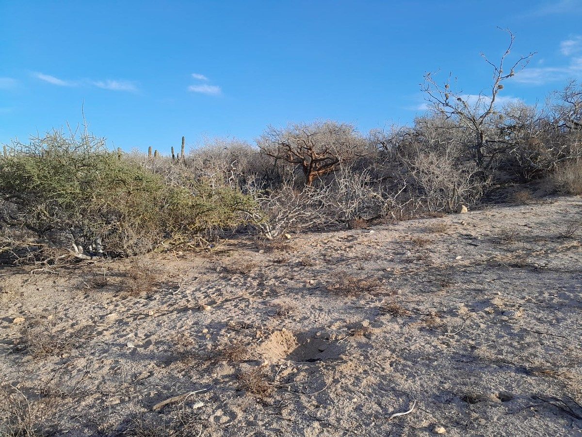 Lot in Agua Blanca, La Paz, photo 13 of 22