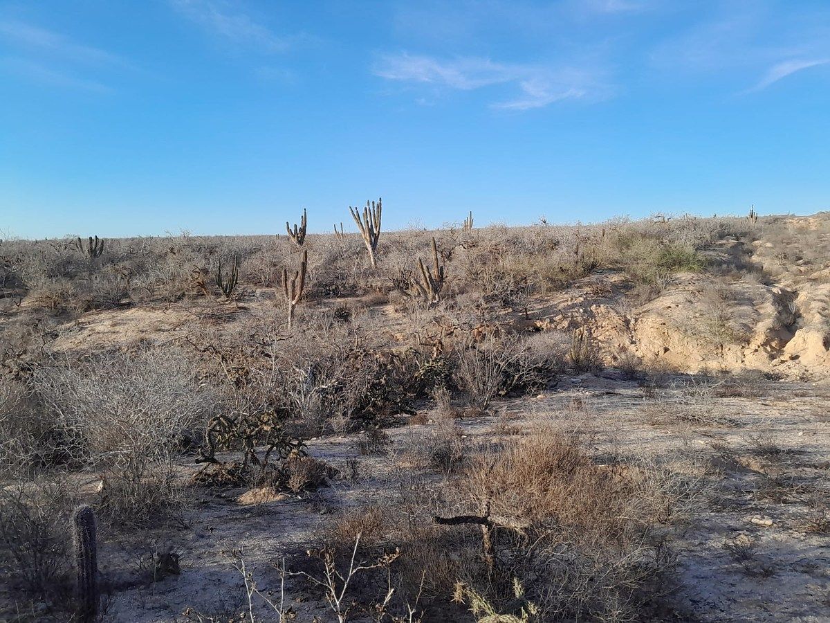 Lot in Agua Blanca, La Paz, photo 14 of 22