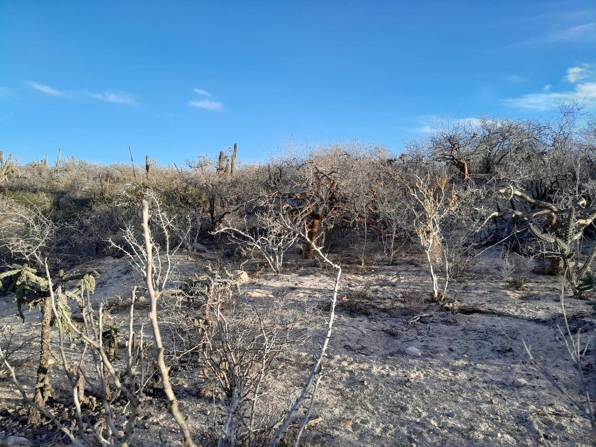 Lot in Agua Blanca, La Paz, photo 16 of 22