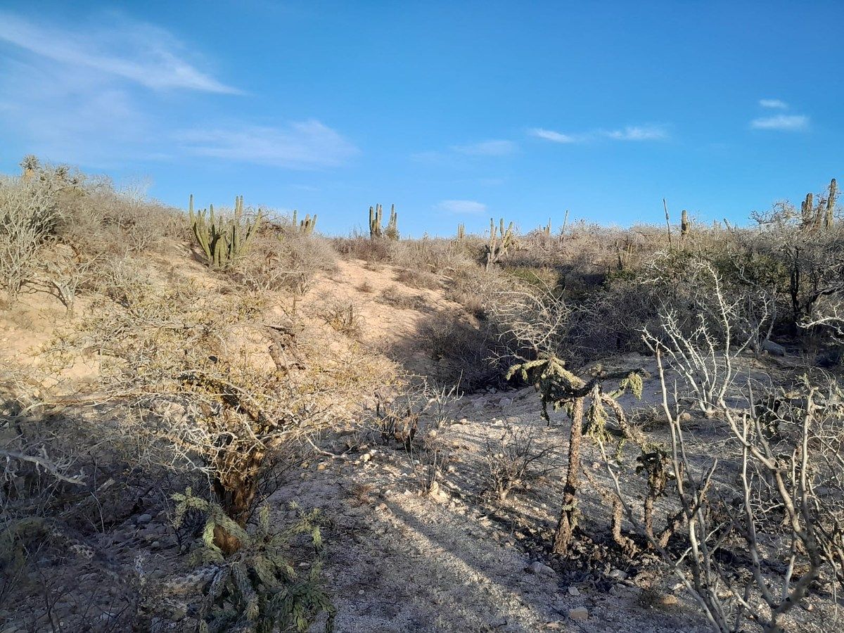 Lot in Agua Blanca, La Paz, photo 17 of 22