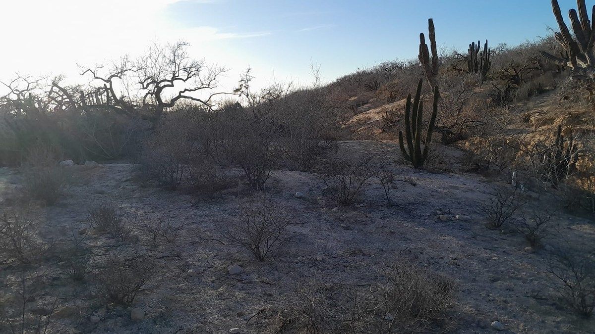 Lot in Agua Blanca, La Paz, photo 18 of 22