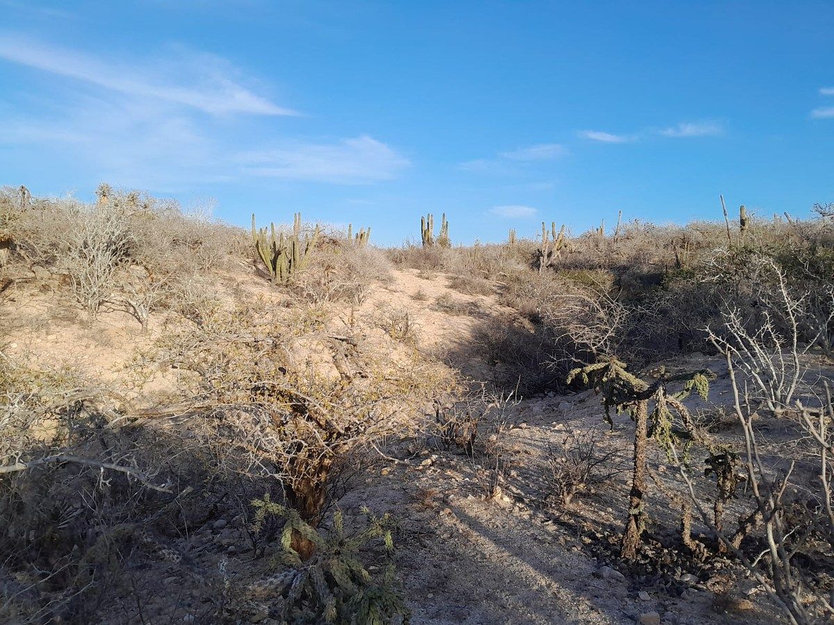 Lot in Agua Blanca, La Paz, photo 19 of 22