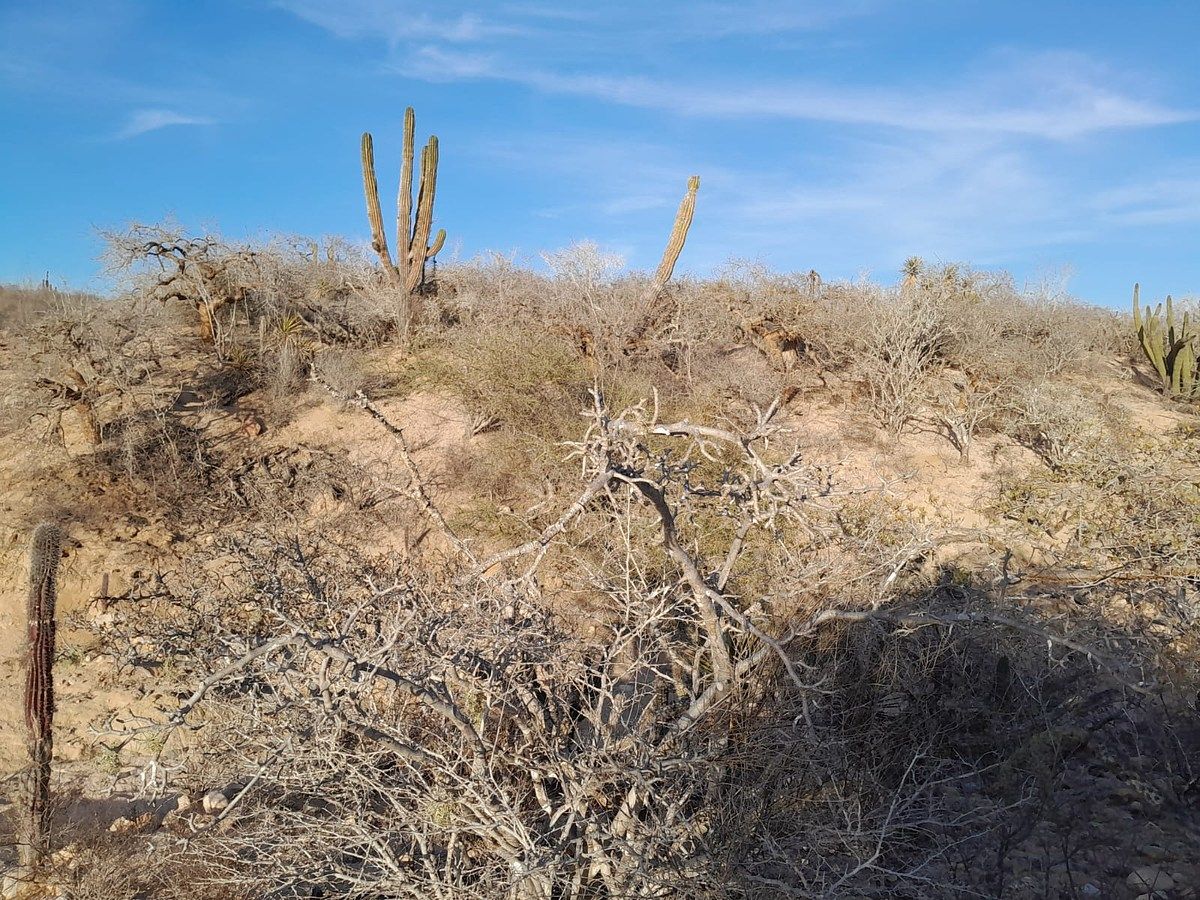 Lot in Agua Blanca, La Paz, photo 20 of 22
