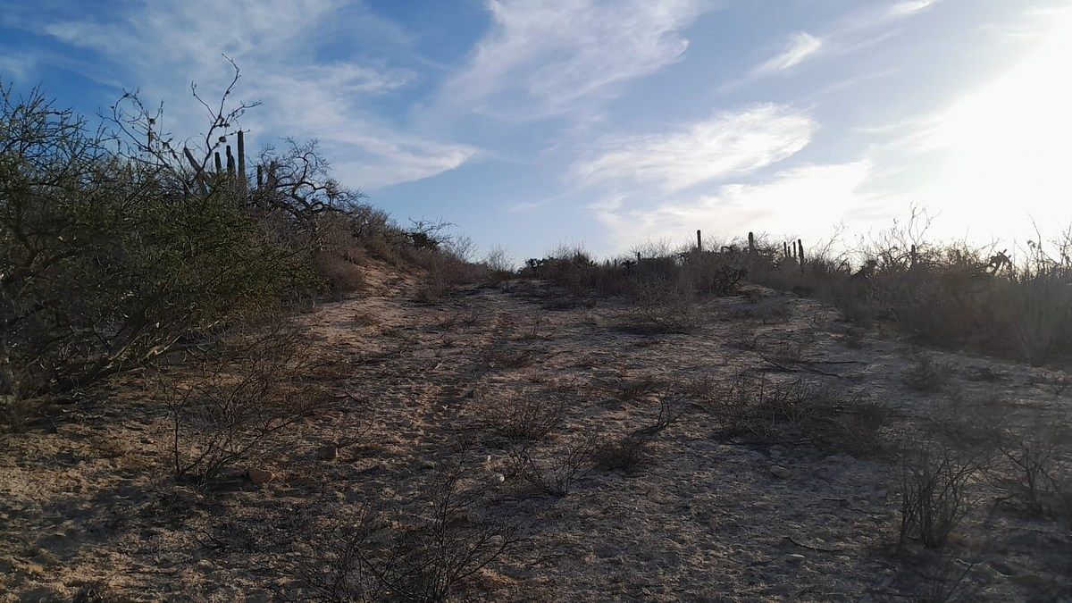 Lot in Agua Blanca, La Paz, photo 21 of 22