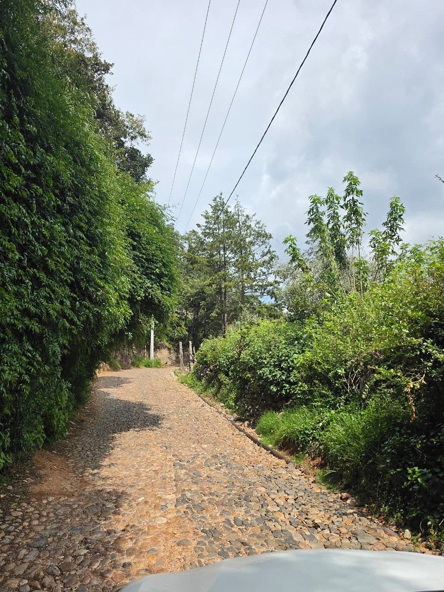 Terreno en Santa Rosa de Lima, Guanajuato, foto 9 de 21