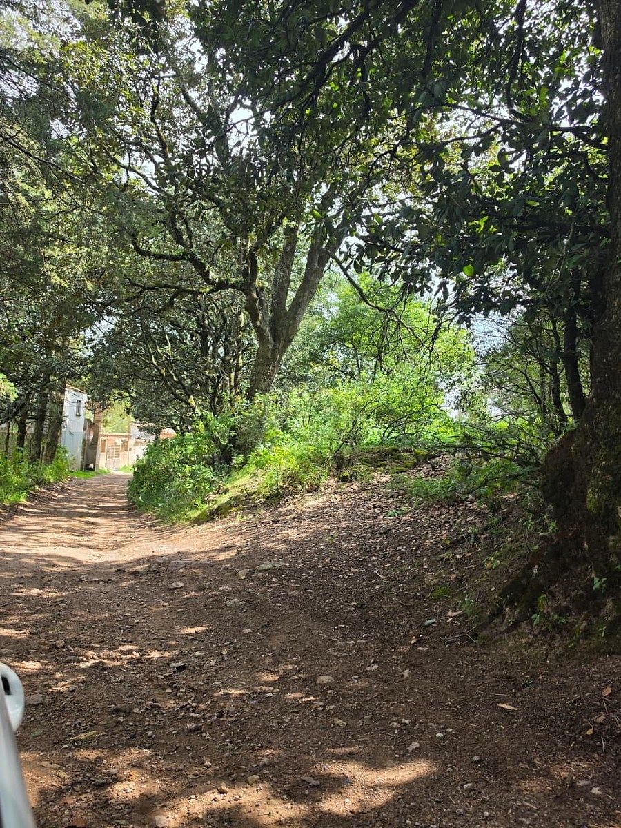 Terreno en Santa Rosa de Lima, Guanajuato, foto 10 de 21