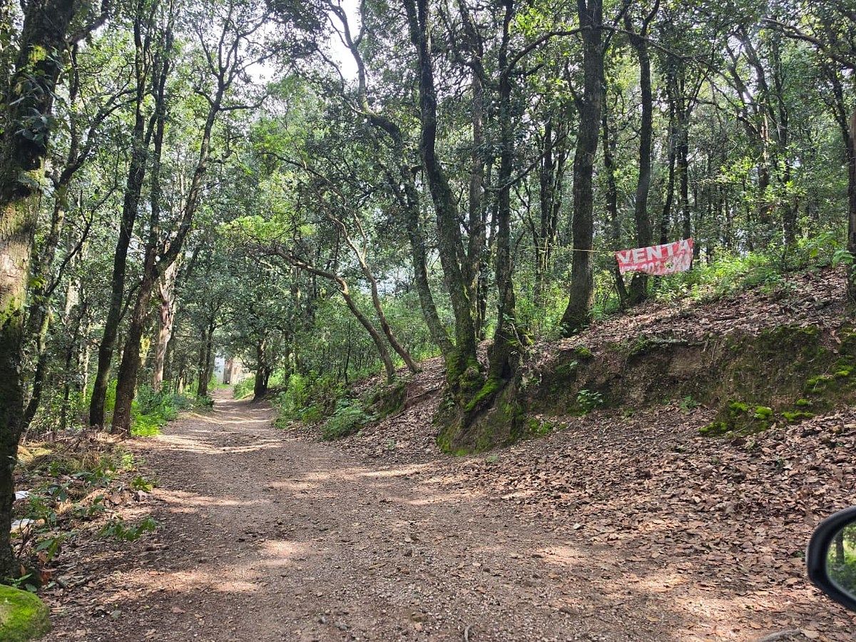 Terreno en Santa Rosa de Lima, Guanajuato, foto 11 de 21