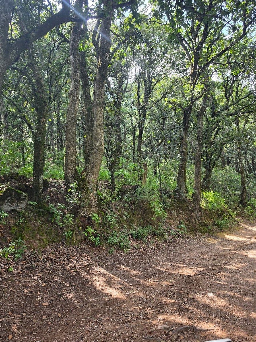 Terreno en Santa Rosa de Lima, Guanajuato, foto 13 de 21