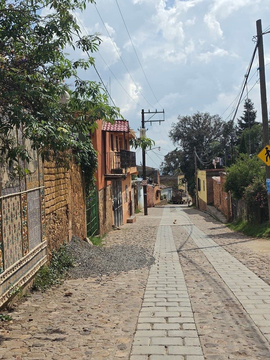 Terreno en Santa Rosa de Lima, Guanajuato, foto 20 de 21