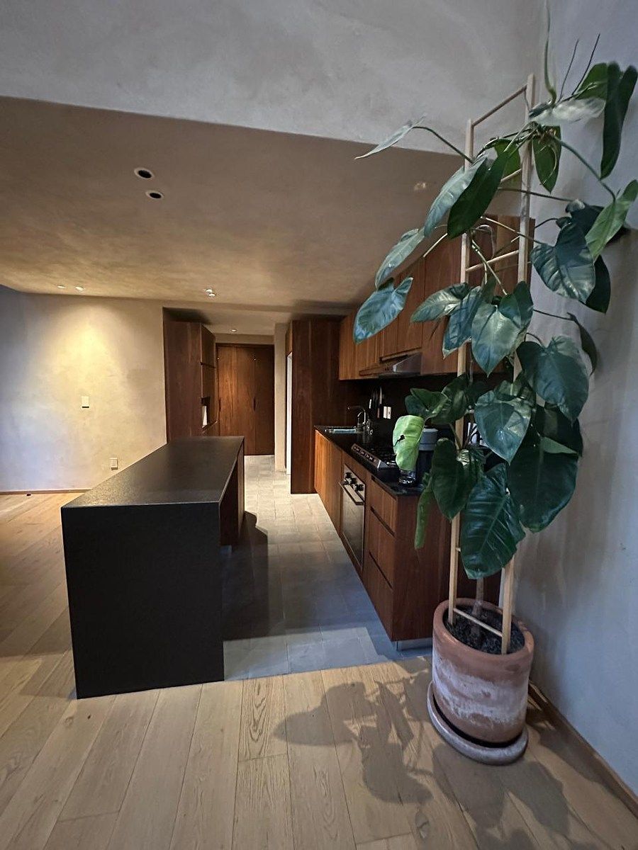 Departamento en Roma Sur, Cuauhtémoc, foto 3 de 11