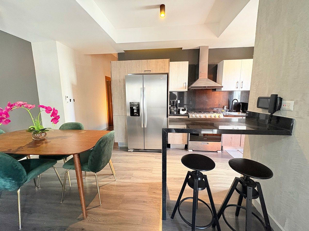 Apartamento amueblado en Piantini, foto 1 de 14