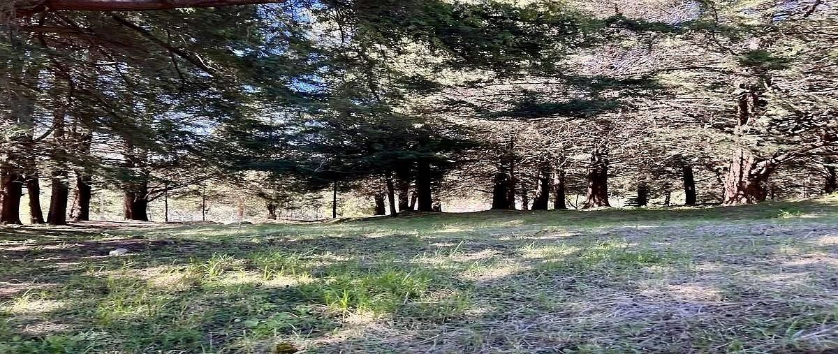 Lote em Hacienda San Martín, Ocoyoacac, foto 3 de 6